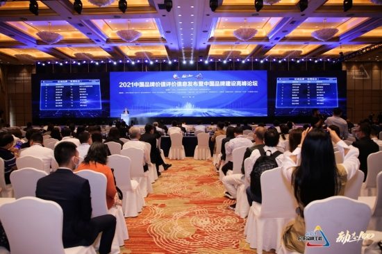 2021中国品牌价值发布 苏宁集团1071亿位列零售业第一(图2)