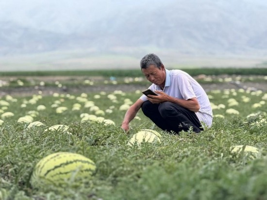 d0b924e81b70abce55e80f2a50ae23a