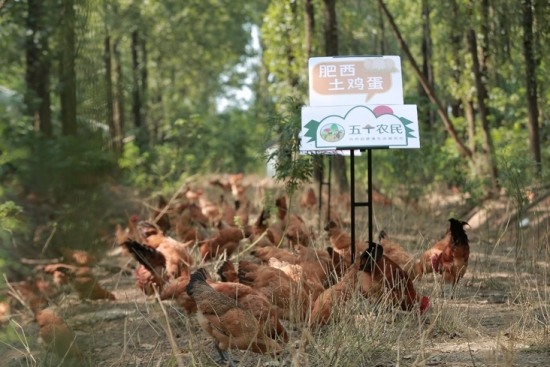 苏宁易购自主品牌苏宁宜品首批企标产品通过备案(图1)