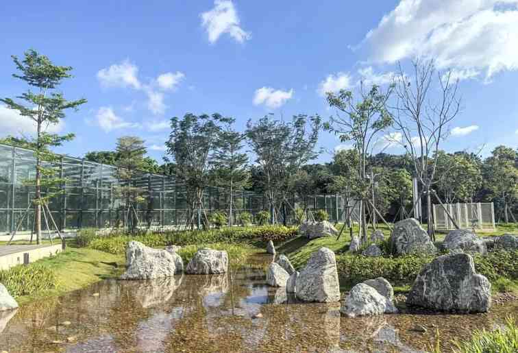 中水溪流.jpg