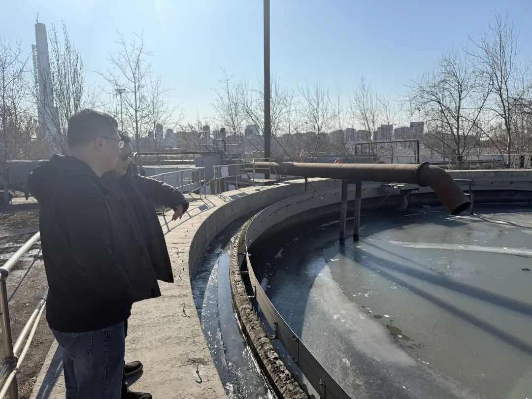 113_2_1767488874.jpeg?wx_fmt=jpeg&from=appmsg